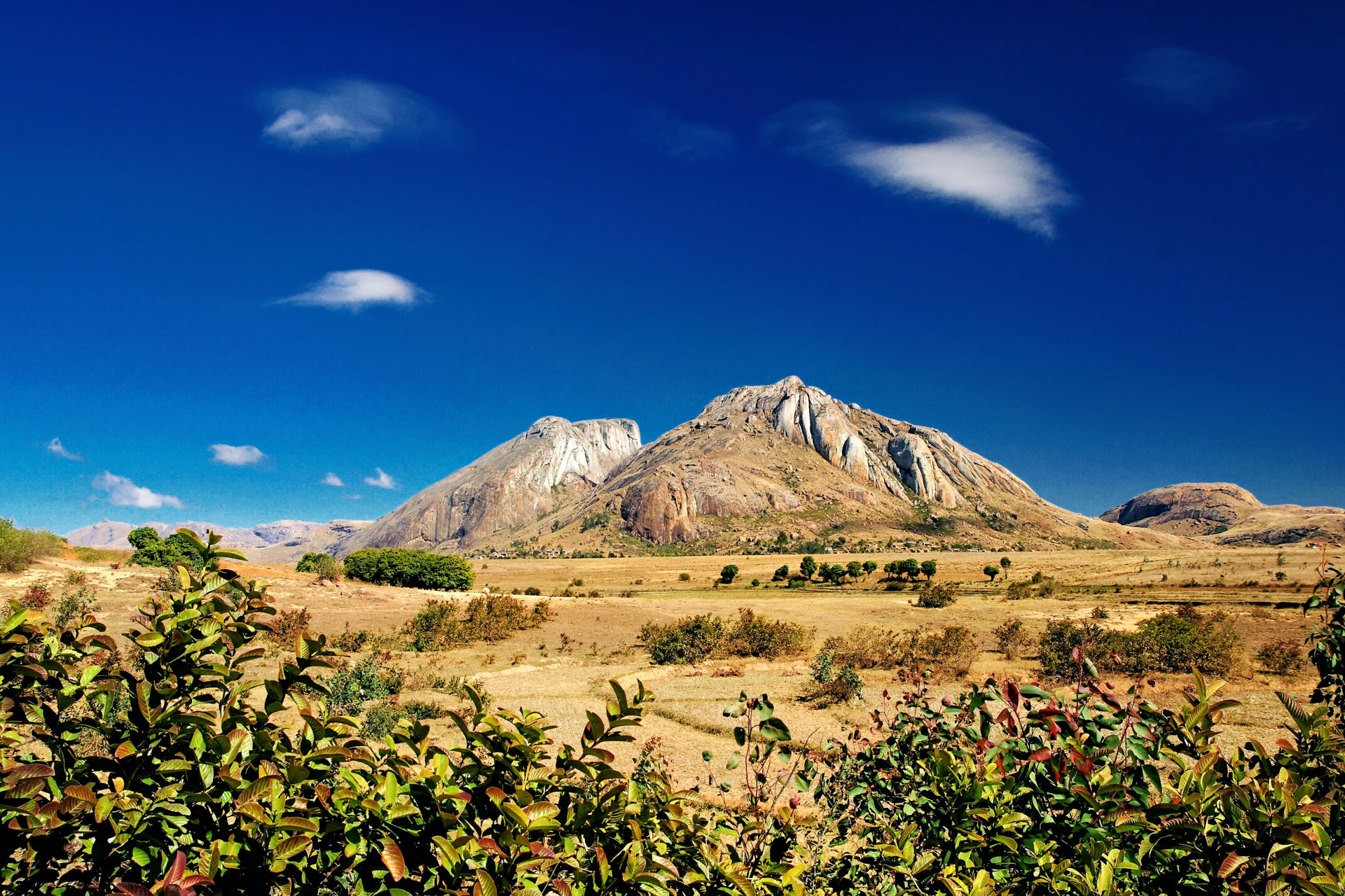 Das Anja Community Reserve ist ein kleines Schutzgebiet in Madagaskar. Es wurde von einer Dorfgemeinschaft geschaffen, die es vollständig verwaltet. Es konzentriert sich auf den Naturschutz, den Tourismus und die wirtschaftliche Entwicklung des Ortes.  Das Reservat beherbergt die dichteste Population von Kattas auf der gesamten Insel.